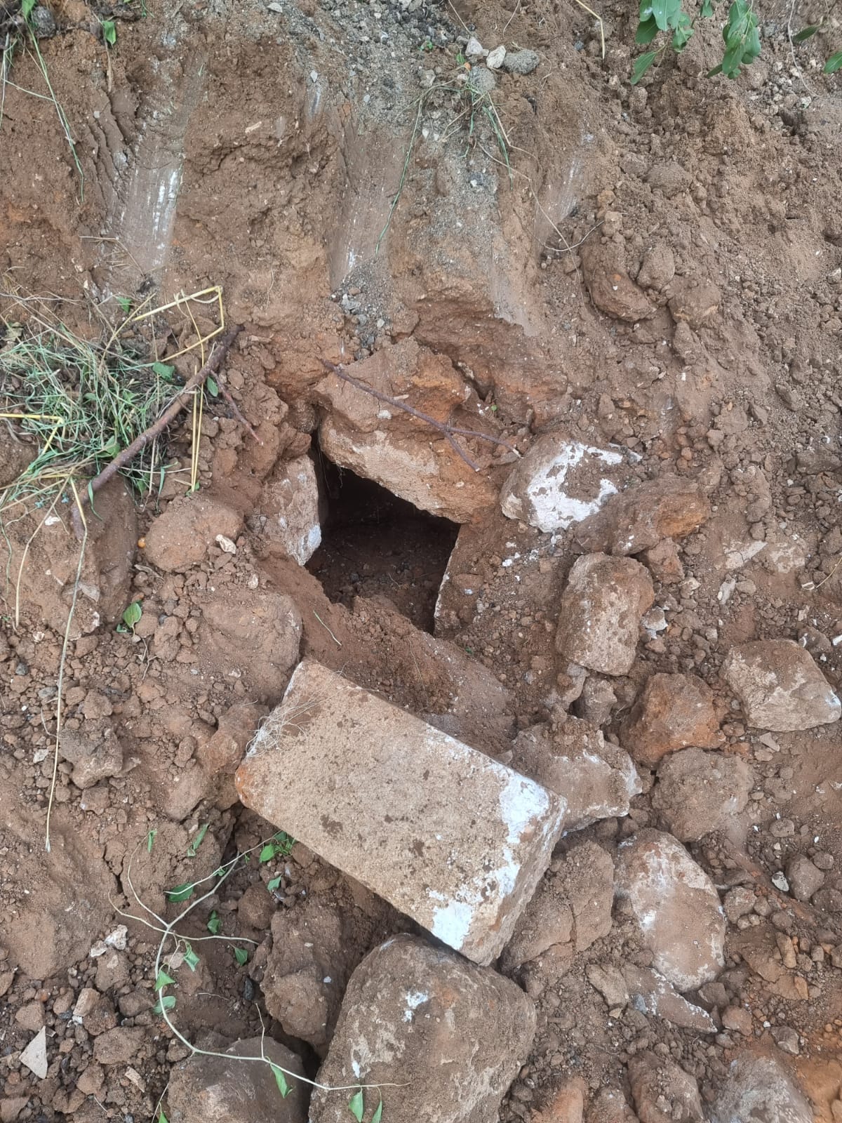 WhatsApp Image 2022-12-01 at 11.27.02 AM.jpeg